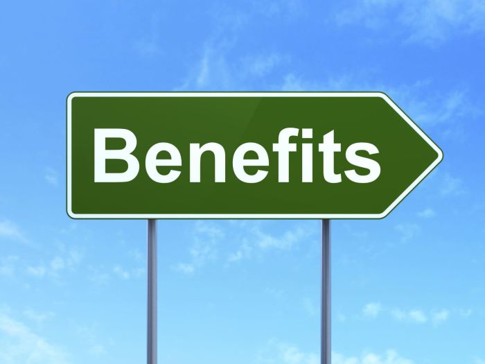 What are the benefits of daily physical activity for health?