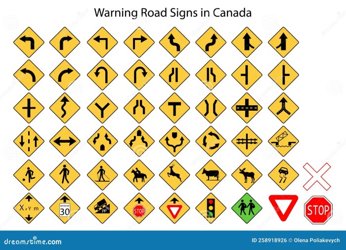 What are the signs of dehydration and how to prevent it?